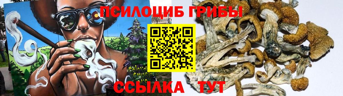 Ессентуки  Псилоцибиновые грибы MAGIC MUSHROOMS  Вход с VPN 