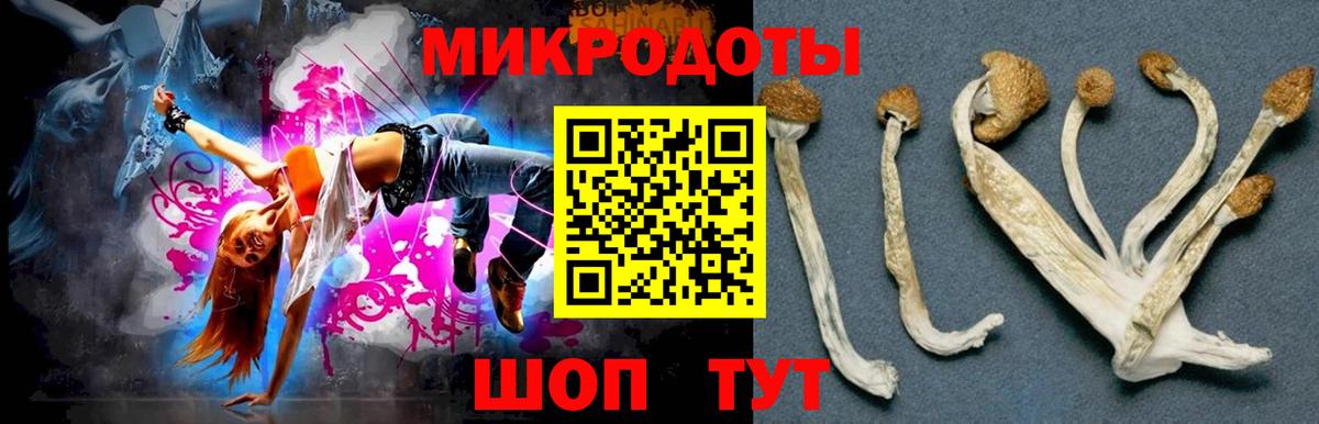 Галлюциногенные грибы мухоморы Ессентуки